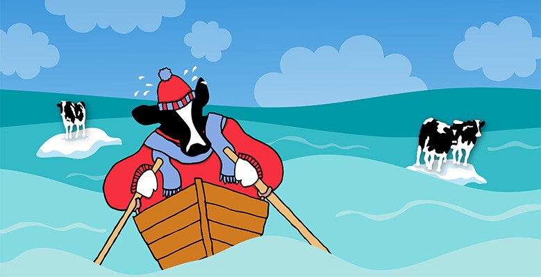 rowboat-Woody-779x400.jpg (if it's melted-GLOBAL)